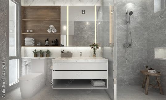 Modernes, gemütliches Badezimmer und Toilette
