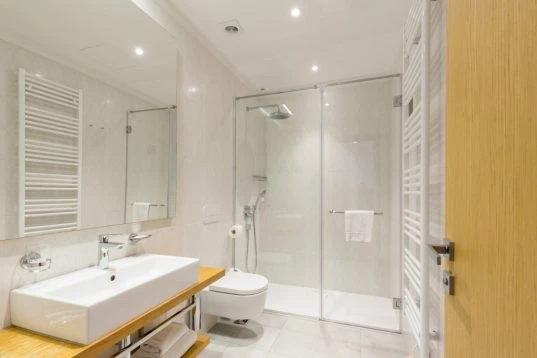 Glastür im Badezimmer: Vor- und Nachteile & Tipps zum Kauf 5 Duschkabine aus Glas