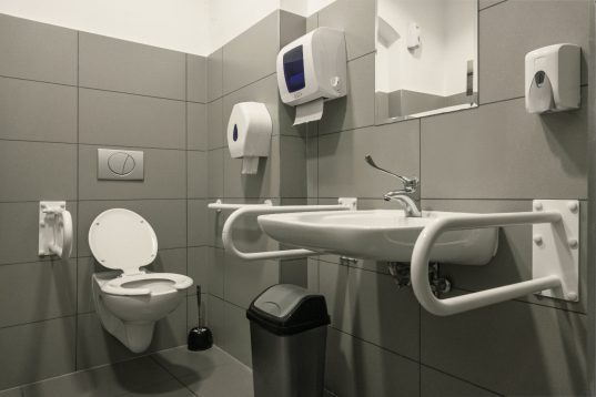 Seniorengerechte Toiletten müssen nicht bieder aussehen