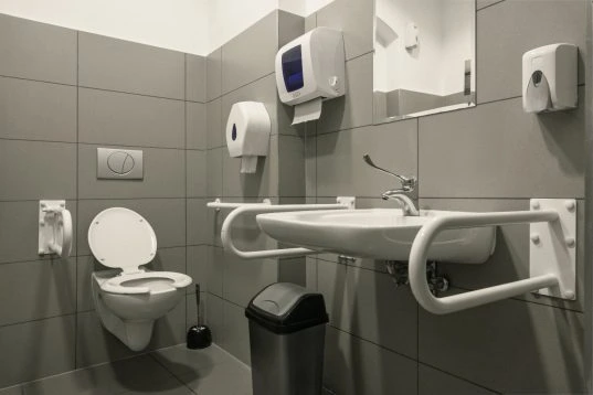 Kleines Bad altersgerecht umbauen: Empfehlungen & praktische Tipps 9 Seniorengerechte Toiletten müssen nicht bieder aussehen