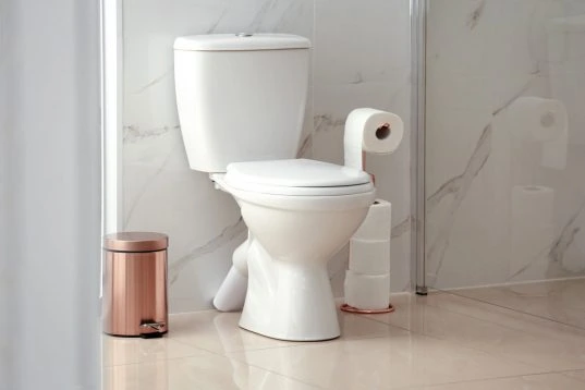 Klassisches Stand-WC in Marmorbadezimmer