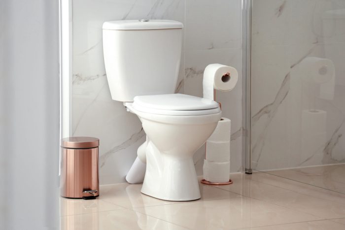 Toiletten-Arten: Die besten WC-Modelle für mehr Komfort 5 Klassisches Stand WC in Marmorbadezimmer