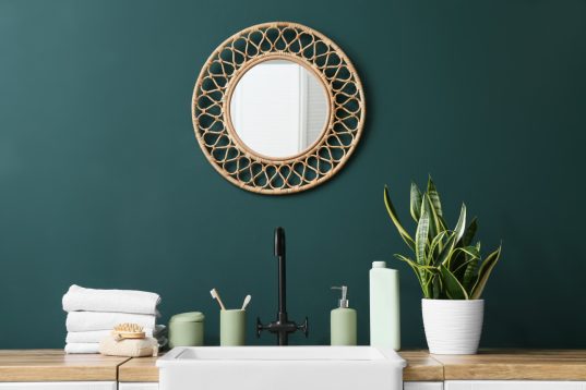 kleine Pflanze als Hingucker auf dem Waschtisch