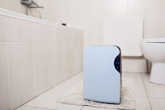 Elektrischer Luftentfeuchter im Badezimmer