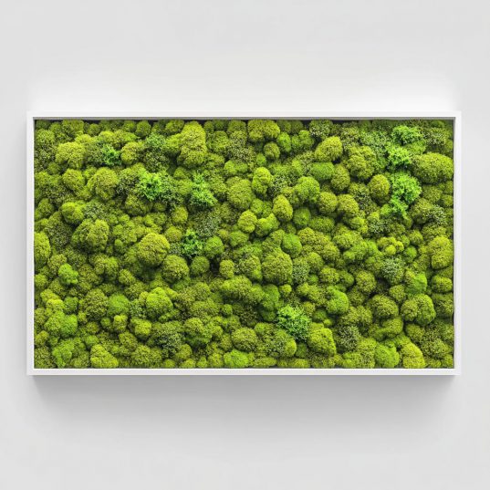 Pflanzen fürs Bad ohne Licht 14 Moosbild an der Wand im Bad