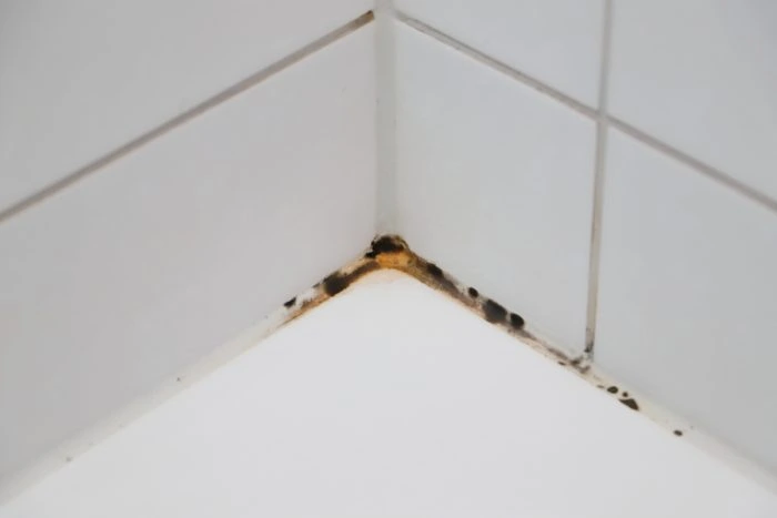 Silikonfugen erneuern: Schritt-für-Schritt-Anleitung für Anfänger 6 Schimmelnde Fuge