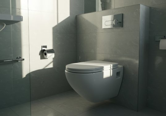 Silberne Wand-Toilette