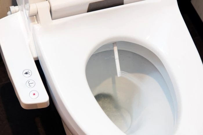 Toiletten-Arten: Die besten WC-Modelle für mehr Komfort 12 Toilette mit eingebauter Intimdusche