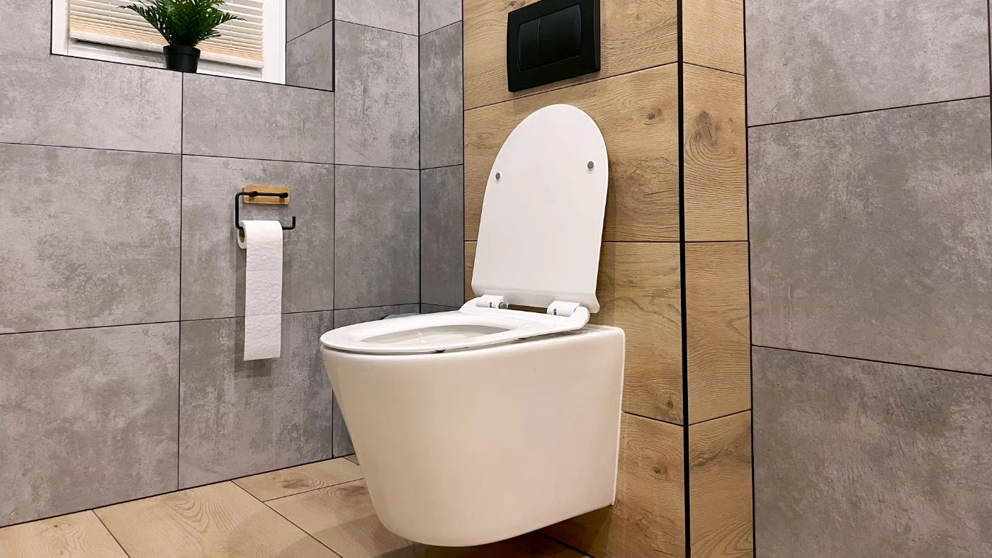 Modern toilet in the bathroom. The bathroom overlooks the closed Toilettenarten