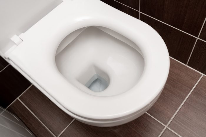 WC mit klassischem Spuelrand 1